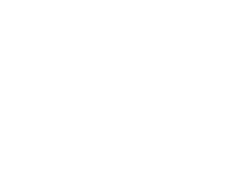 The Ink Blot