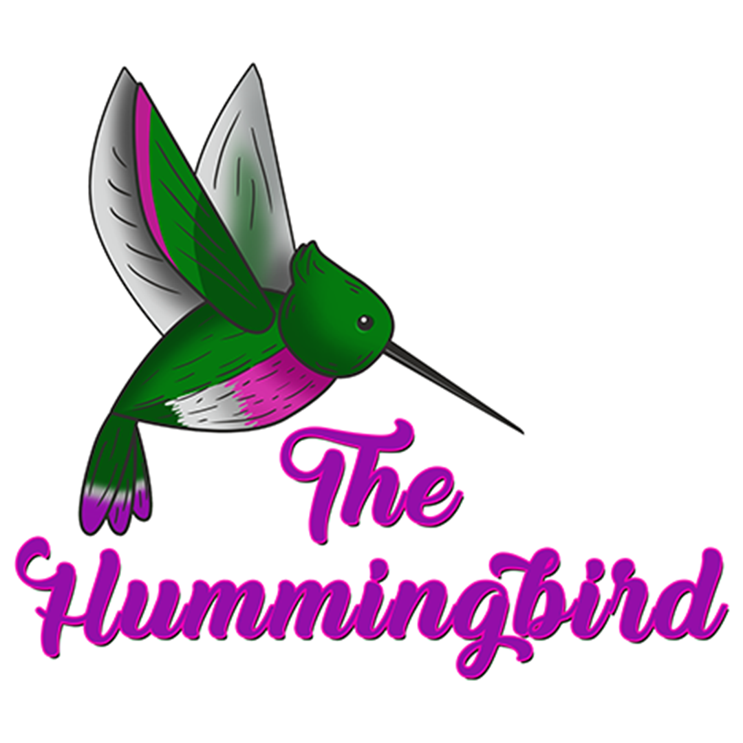 The Hummingbird 175 logo